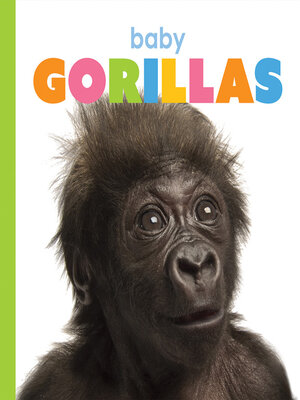 cover image of Baby Gorillas